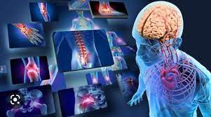 Жаксылыков Е.Х Анатомия және спорттық морфология негіздері 2022 ж