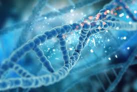 Утаубаева А.У Генетика 2021 г